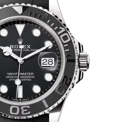 Rollie Yacht Master